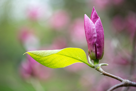 IMG_5652_export_full