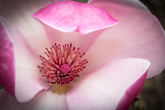 IMG_5628_export_full