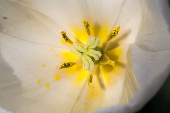 IMG_5353_export_full