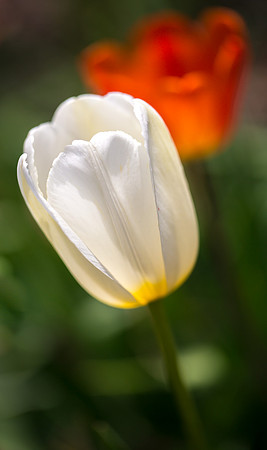 IMG_5442_export_full