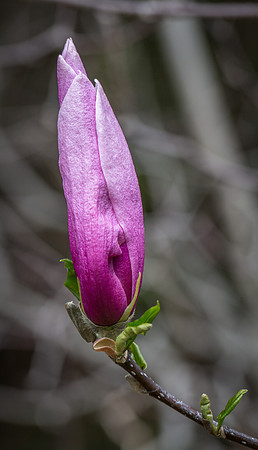 IMG_5678_export_full