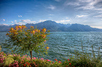 _U8C5098_HDR