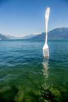 _U8C6608_export_full-2