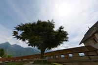 _U8C5353_DxO