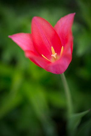 IMG_5323_export_full