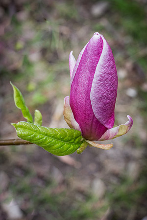 IMG_5675_export_full