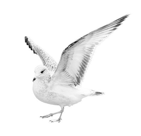 2009_10_09-559-Edit_export_full